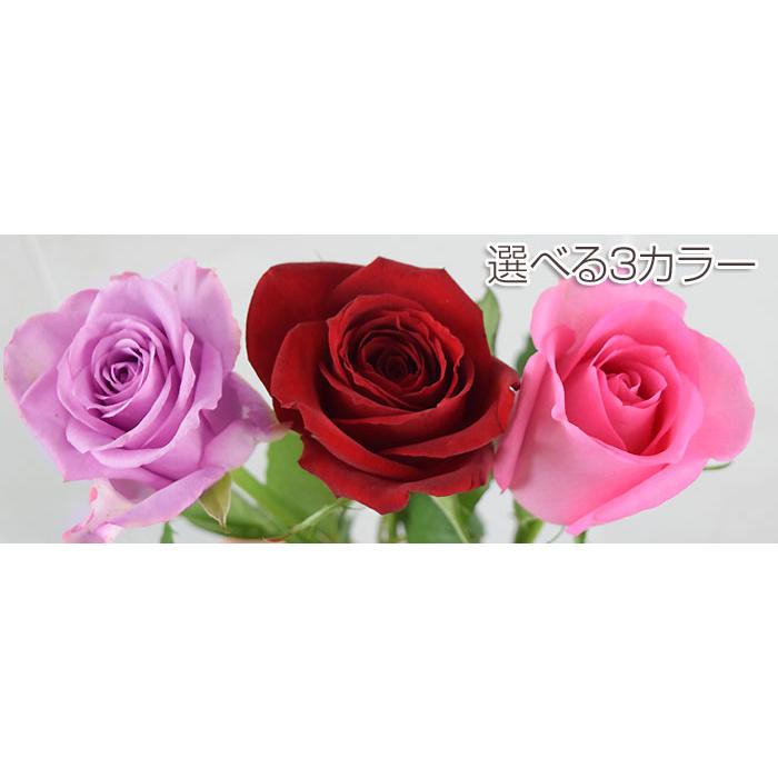 花 ギフト 誕生日 結婚 記念日 お祝い プレゼント 結婚記念日「La belle rose」ラ・ベル・ローズ 開店祝い 展示会 送料無料の画像