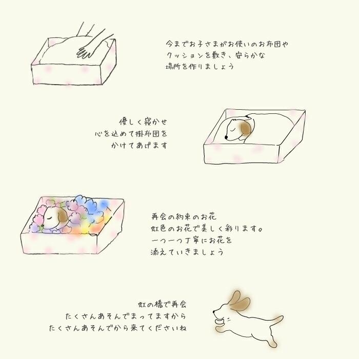 ペット棺 虹の橋セット ほほえみ 棺桶 ペットロス 即日手配 ペット棺 段ボール棺 ペット葬 ペットのお葬式 ペット火葬 お別れ花 ペット供養 納棺 虹の橋 | プリティ マーメイド | 15