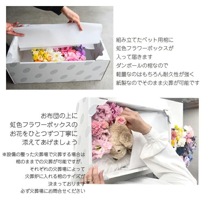 ペット棺 虹の橋セット ほほえみ 棺桶 ペットロス 即日手配 ペット棺 段ボール棺 ペット葬 ペットのお葬式 ペット火葬 お別れ花 ペット供養 納棺 虹の橋 | プリティ マーメイド | 16
