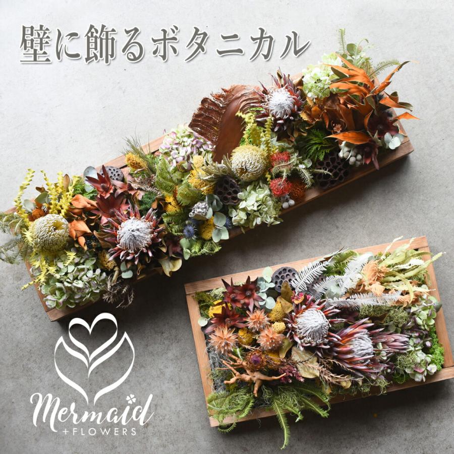 プリティ マーメイド 「ドライボタニカルウォール」 アレンジ ドライ