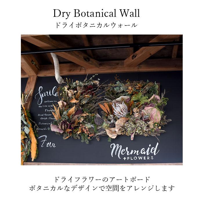 プリティ マーメイド 「ドライボタニカルウォール」 アレンジ ドライ