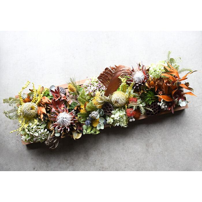 プリティ マーメイド 「ドライボタニカルウォール」 アレンジ ドライ