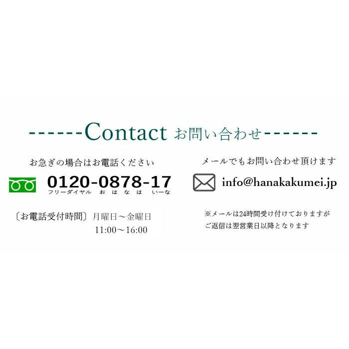 オーダーメイド アレンジ 生花 ドライフラワー 開店花 開店祝い 開業祝い オープン祝い お祝い 贈り物 発表会 劇場 美容室レストラン ライブ 【地域限定】 