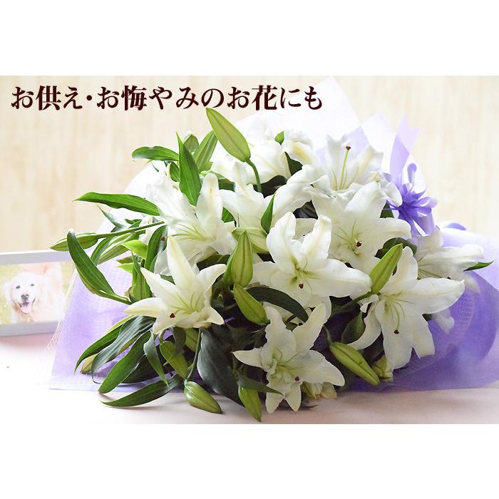 お供え お悔やみ 花 お盆 お彼岸 秋 彼岸 カサブランカ 花束 命日 生花 仏花 25輪 Oso 25kasabu プリティ マーメイド 通販 Yahoo ショッピング