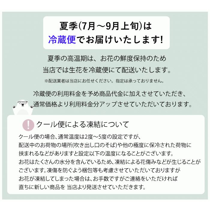 花 ギフト 誕生日 成人祝い 愛妻の日 プレゼント にも 送別 歓迎 花束 記念日 歓迎会 送料無料 Ot 1 プリティ マーメイド 通販 Yahoo ショッピング
