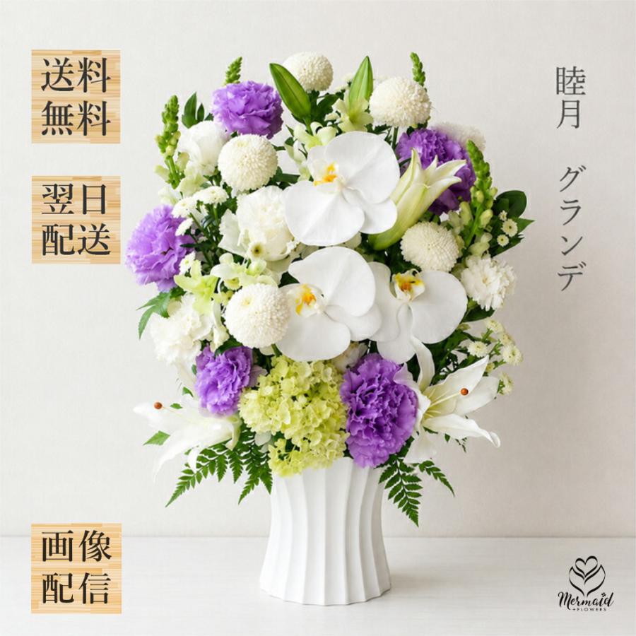プリティ マーメイド お盆 お供え 胡蝶蘭仕立て 睦月 アレンジメント