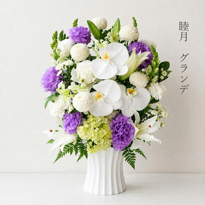 プリティ マーメイド お盆 お供え 胡蝶蘭仕立て 睦月 アレンジメント
