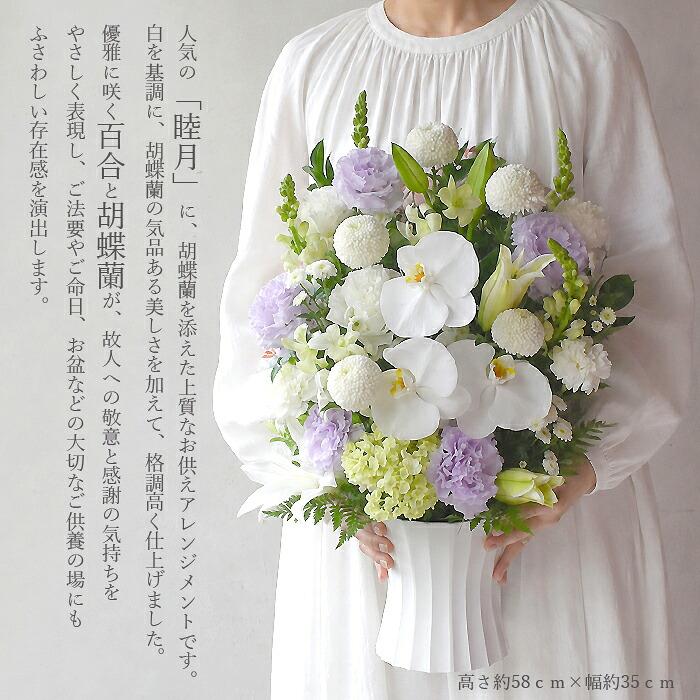 プリティ マーメイド お盆 お供え 胡蝶蘭仕立て 睦月 アレンジメント