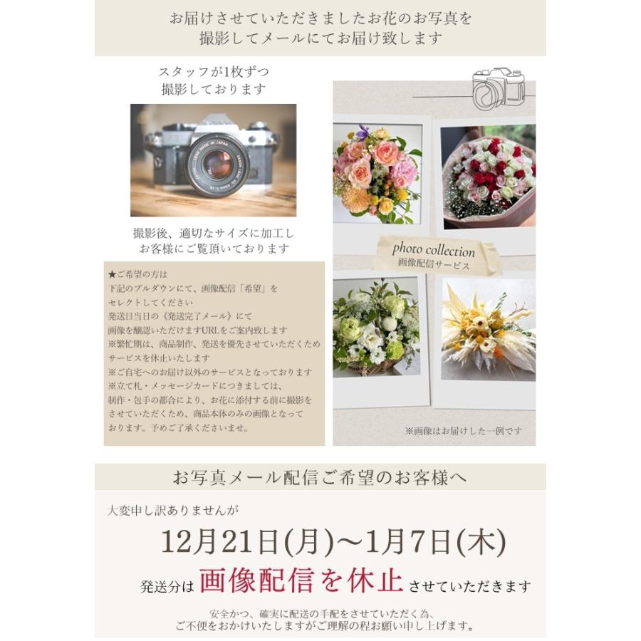 バラ100本の花束 ミックス 花 高級 赤バラ プロポーズ ギフト 結婚記念日 花 ギフト 誕生日 ギフト プレゼント プレゼント 卒業 卒業式 送料無料 | プリティ マーメイド | 09