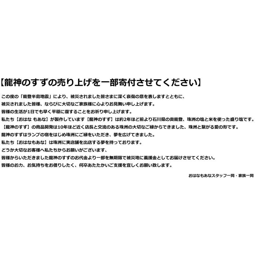 ご祈祷済 盛塩 龍神のすず 盛り塩 と 龍神お守りセット 交換不要 厄年  厄除け プレゼント 玄関 トイレ 浄化 開運 厄除け 商売繁盛 オルガナイト |  | 17