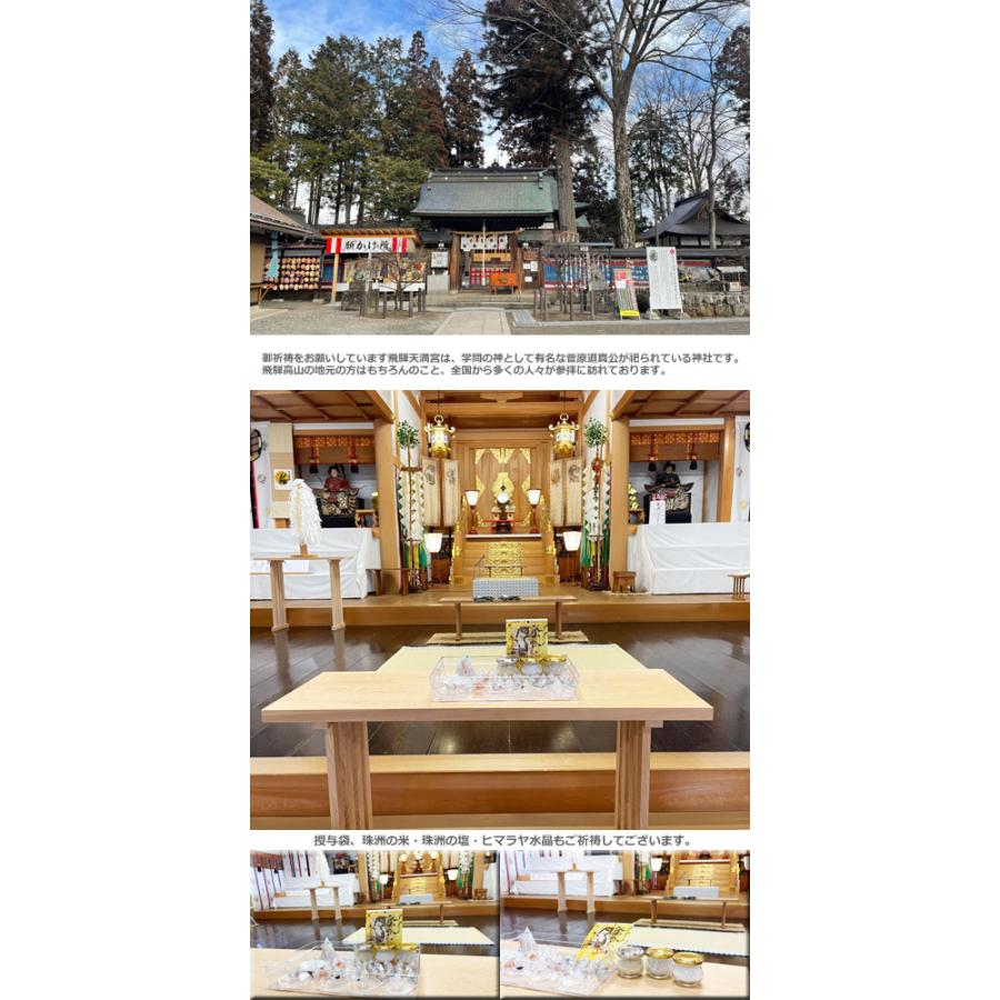 ご祈祷済 盛塩 龍神のすず 盛り塩 と 龍神お守りセット 交換不要 厄年  厄除け プレゼント 玄関 トイレ 浄化 開運 厄除け 商売繁盛 オルガナイト |  | 07