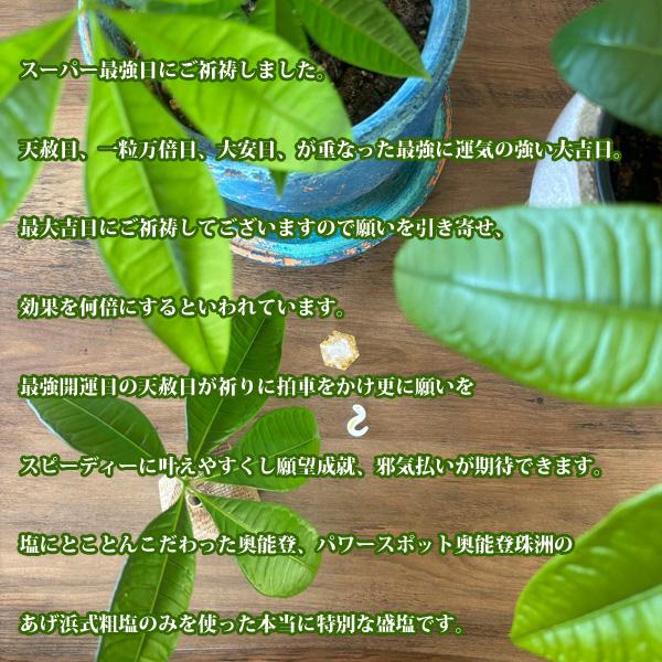 2025 巳 干支 盛り塩 ご祈祷済 龍神のすず 宝船 七福神 盛塩 1個 と 