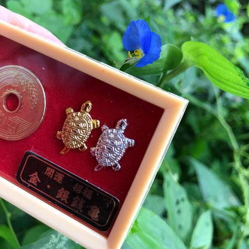 定形外郵便 送料無料 金銀銭亀 開運 招福のケース入りお守り ツキが来る 1個 厄除け 運を引き寄せる飛騨高山のお守り 安産 今季も再入荷 子宝 縁結び 魔よけ