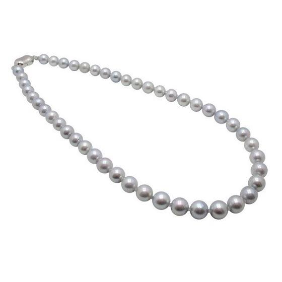 あこや 真珠 本真珠 アコヤ真珠 パール ネックレス グレー 8.0-8.5mm