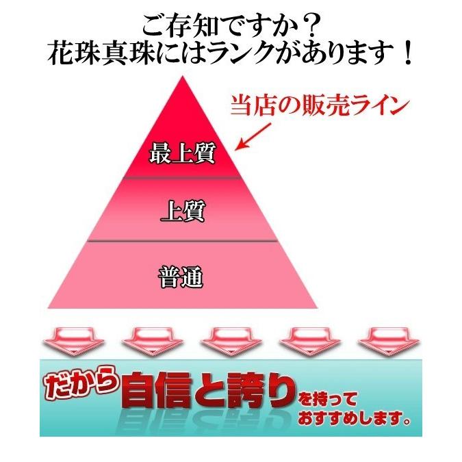 あこや 花珠 真珠 本真珠 アコヤ真珠 パール ネジバネ イヤリング（ピアス）セット ホワイト 8.5-9.0mm 入学式 卒業式 冠婚葬祭 フォーマル カジュアル 結婚式の画像