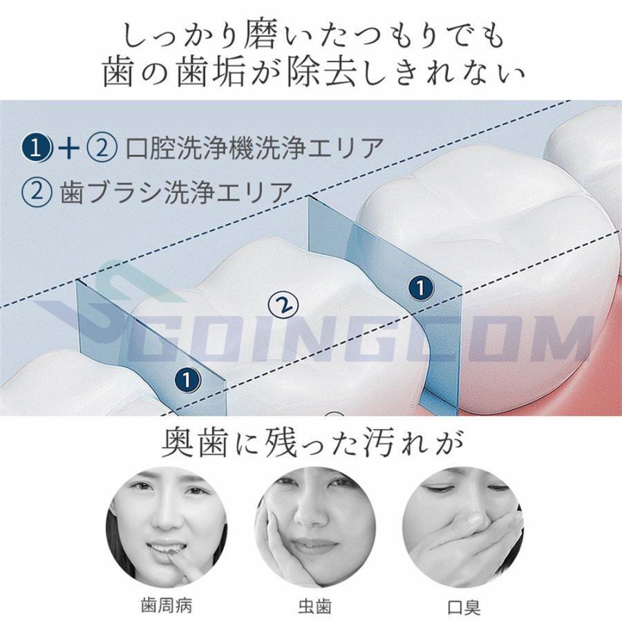 口腔洗浄器 ウォーターピック ジェットウォッシャー 300ML 口腔洗浄機