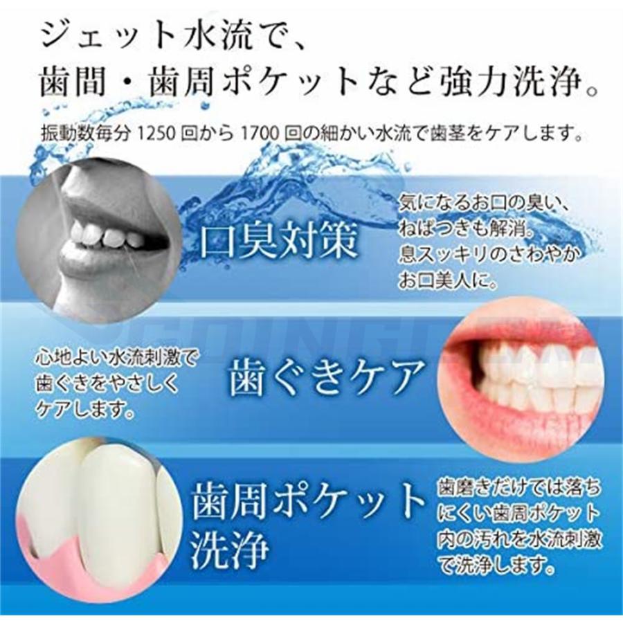 口腔洗浄器 ジェットウォッシャー 400MLタンク 5つモード 替えノズル4
