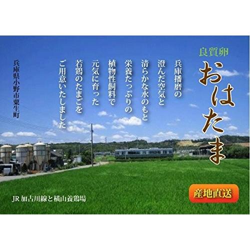 良質卵おはたまパック入190個（171個＋割れ保証19個）_3