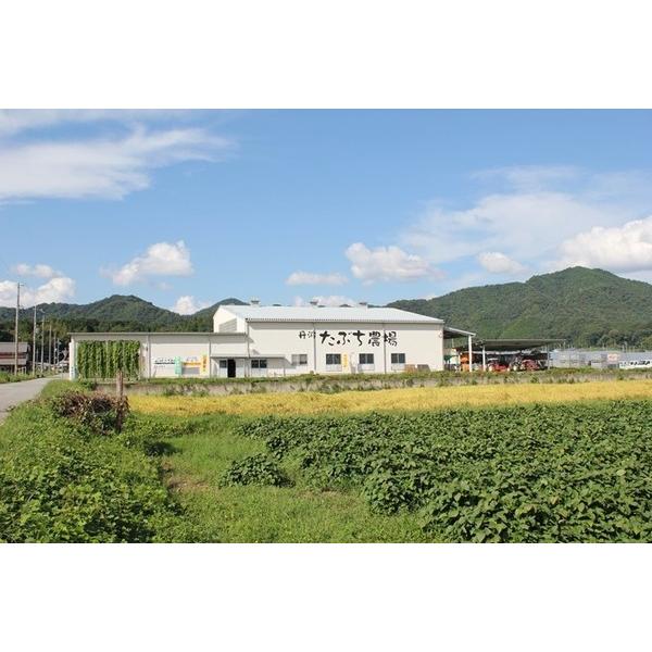 丹波篠山産黒枝豆1kg　さやのみ（篠山市認定販売所たぶち農場）※収穫日に出荷いたします |  | 02