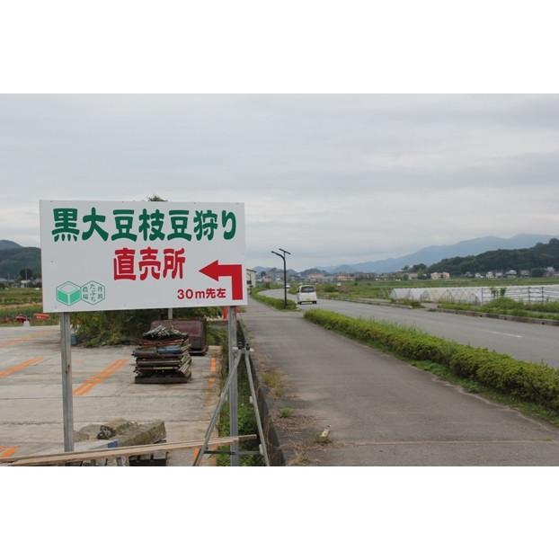丹波篠山産黒枝豆1kg　さやのみ（篠山市認定販売所たぶち農場）※収穫日に出荷いたします |  | 05