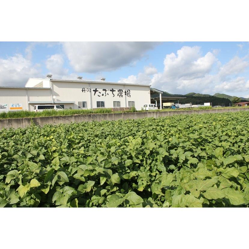丹波篠山産黒枝豆1kg　さやのみ（篠山市認定販売所たぶち農場）※収穫日に出荷いたします |  | 07