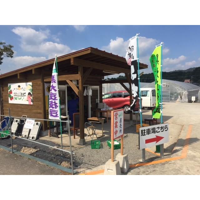 丹波篠山産黒枝豆1kg　さやのみ（篠山市認定販売所たぶち農場）※収穫日に出荷いたします |  | 08