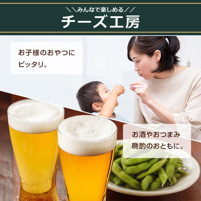 爆買 珍味 チーズ工房 ダブルチーズ 42g×60袋 送料無料 酒のつまみ