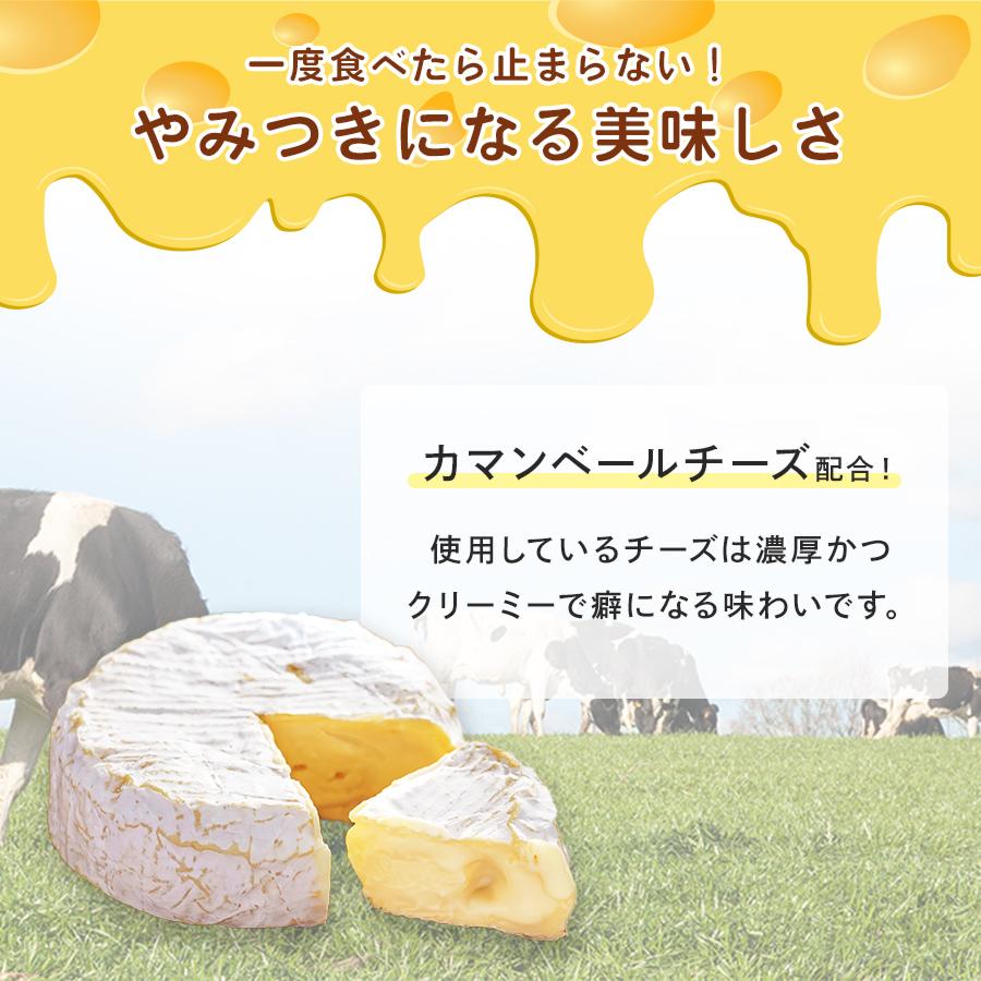 珍味 チーズ工房 カマンベール入 65g×3袋 送料無料 酒のつまみ おつまみ お菓子 おかし チーズ ちーず メール便|おつまみ探検隊|02