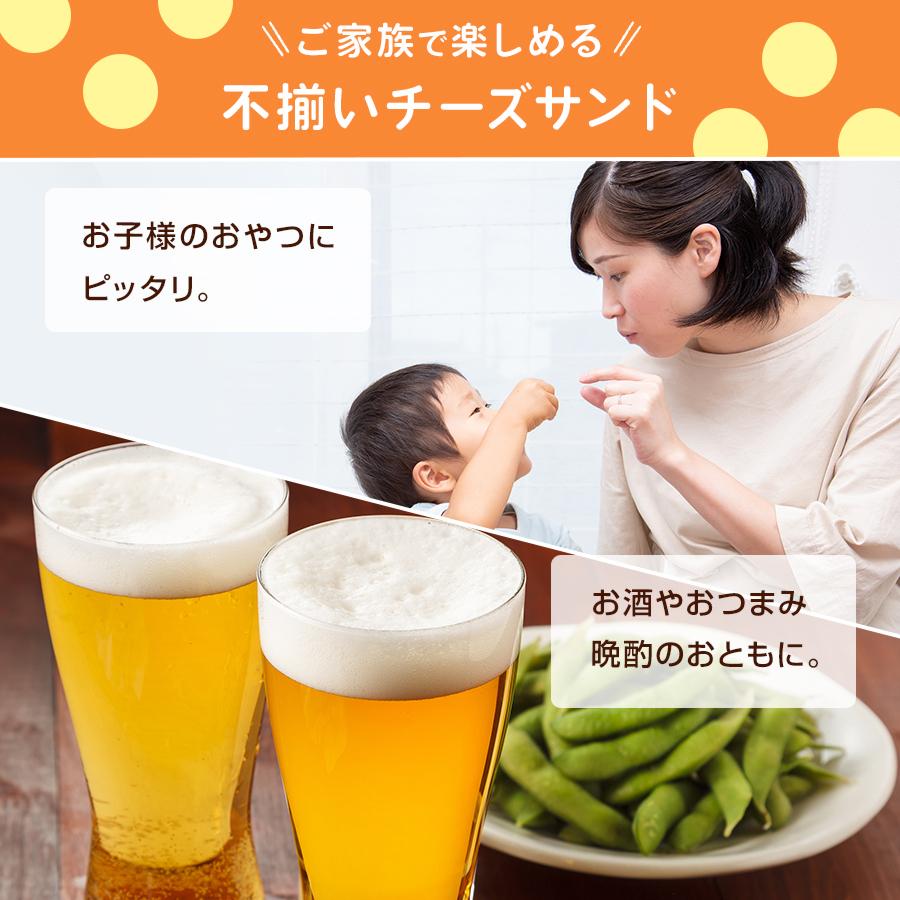 珍味 チーズ工房 カマンベール入 65g×3袋 送料無料 酒のつまみ おつまみ お菓子 おかし チーズ ちーず メール便|おつまみ探検隊|03