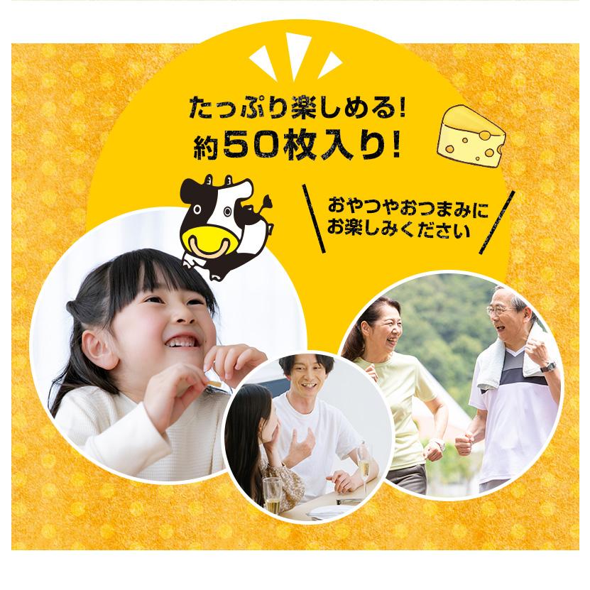 爆買 珍味 チーとろカマンベール 50枚入り 送料無料 おやつ お菓子