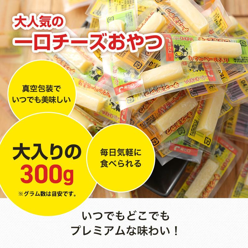 珍味 チーズおやつカマンベール入り 300g おやつ 酒の肴 個包装 お菓子 チーズ ちーず カマンベール 駄菓子 在宅 メール便 ポスト投函｜ohgiya-f｜03