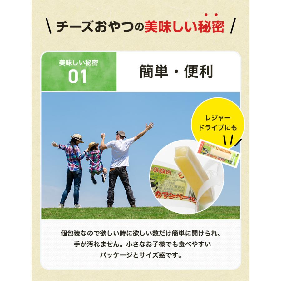 珍味 チーズおやつカマンベール入り 300g おやつ 酒の肴 個包装 お菓子 チーズ ちーず カマンベール 駄菓子 在宅 メール便 ポスト投函｜ohgiya-f｜04