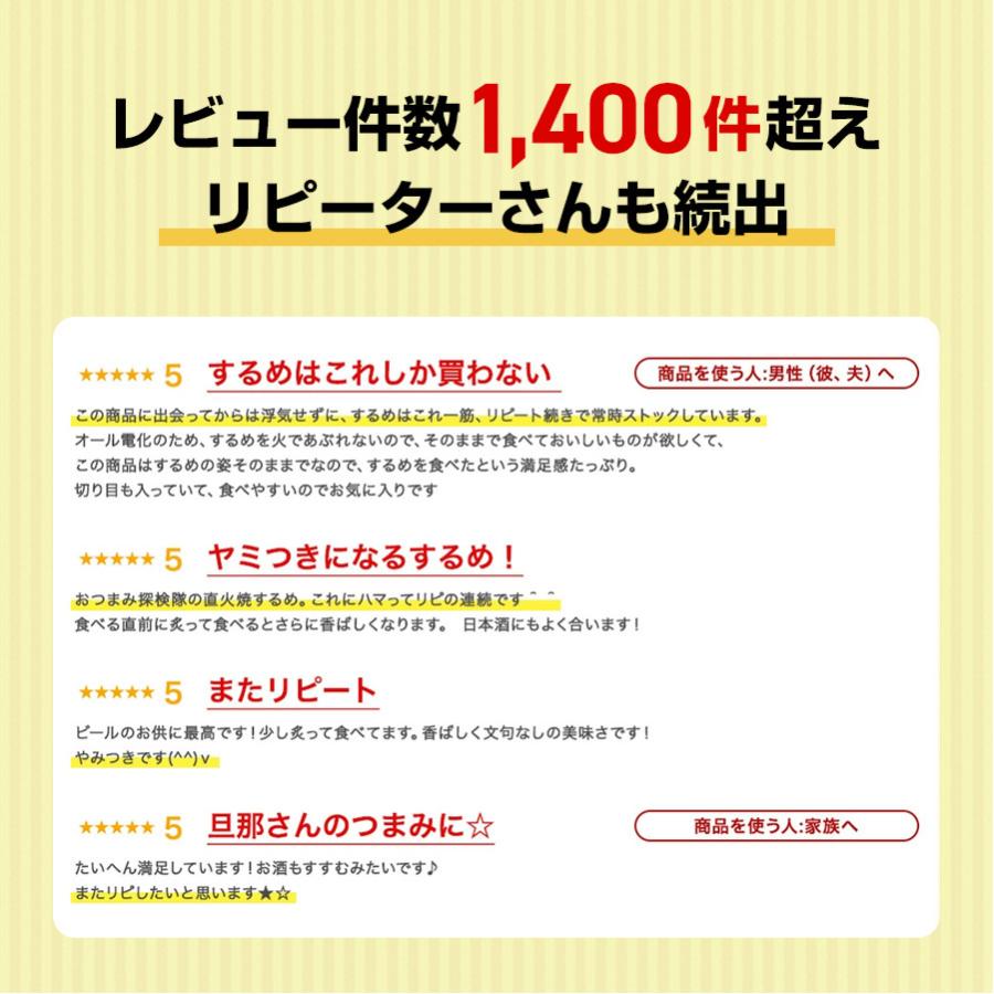 珍味 直火焼するめ 1g 酒のつまみ おつまみ 魚介 メール便 スルメ オープニング 大放出セール イカ