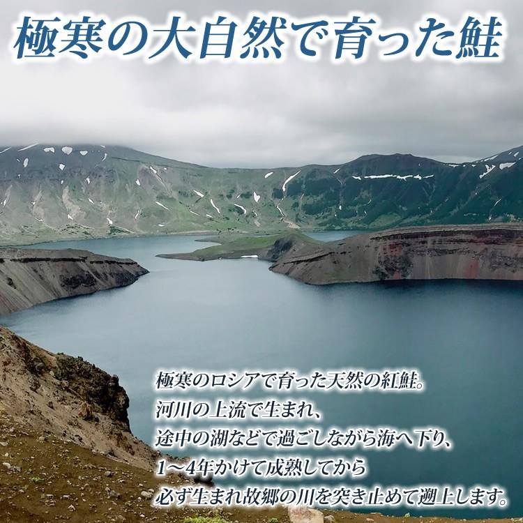 父の日 プレゼント 鮭 ギフト 50代 60代 70代 80代 2024 天然サーモン 紅鮭 寒風干し  のし 熨斗 フィレ ロシア産 甘口｜ohgle｜04