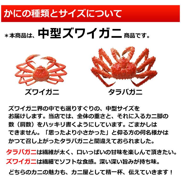 ギフト 食品 カニ かに 蟹 ズワイガニ 脚 1kg 1キロ 海鮮 ボイル 蟹 足 脚 グルメ ギフト 送料無料｜ohgle｜11