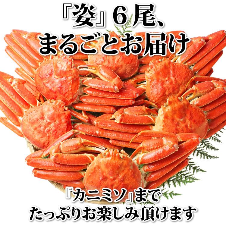 ギフト 食品 カニ かに 蟹 ずわいがに 姿 3kg (6尾入) 海鮮 ボイル 蟹 足 脚 グルメ ギフト 送料無料｜ohgle｜03