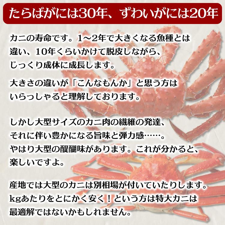 母の日 プレゼント 2025 食べ物 花以外 70代 60代 カニ かに 蟹 母の日 プレゼント 2025 食べ物 花以外 70代 60代 カニ かに 蟹
