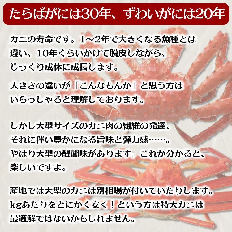 ギフト 食品 カニ かに 蟹 特大 ズワイガニ 脚 3kg (3L・4Lサイズ) 3キロ 海鮮 ボイル 蟹 足 脚 グルメ ギフト 送料無料｜ohgle｜13