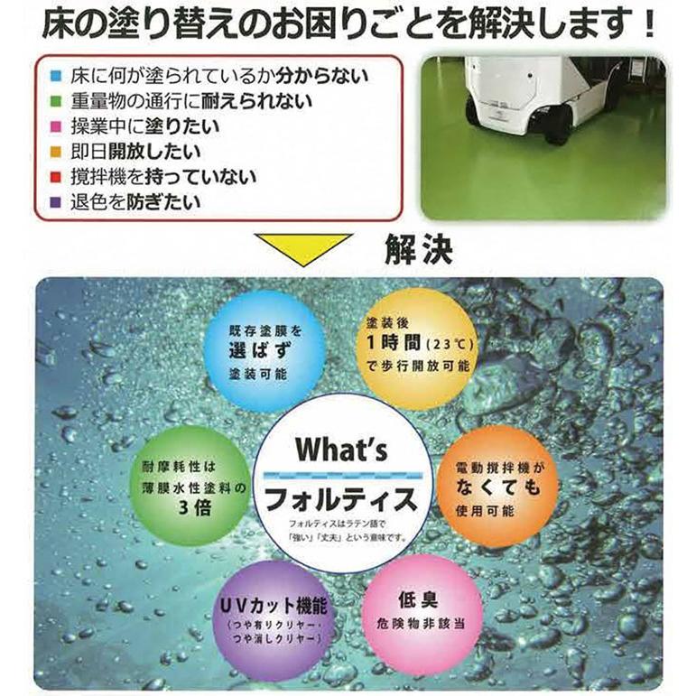 フロアトップアクア フォルティス 標準色 艶有り 13.5kgセット フロアトップアクア フォルティス 標準色 艶有り 13.5kgセット