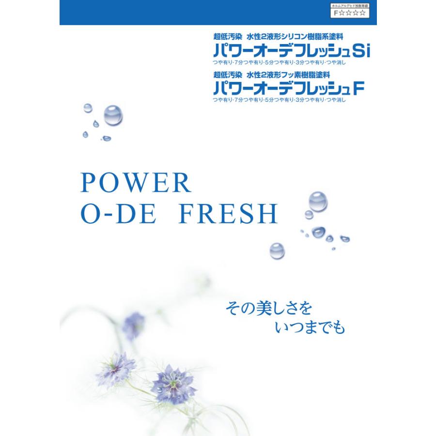 最大5000円OFFクーポン パワーオーデフレッシュSi 淡彩色 艶有り 15kg