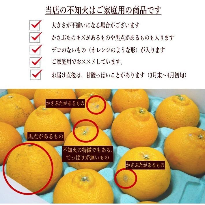 （ご家庭用）不知火（しらぬい）9kg　デコポンと同等品種【3月下旬〜4月下旬より発送開始】｜ohisama-kudamono｜14