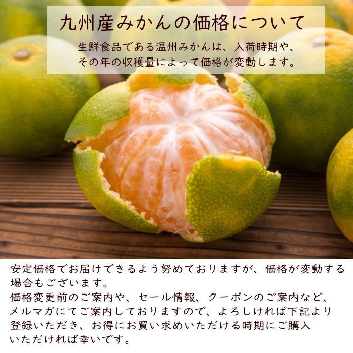 （ご家庭用）大きな温州みかん1.5kg（九州産）送料無料 2セットで増量特典 訳あり ご家庭用（佐川急便配送）｜ohisama-kudamono｜14