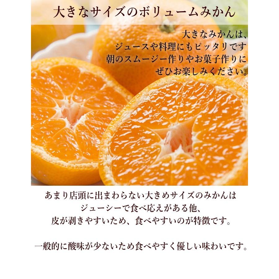 （ご家庭用）大きな温州みかん1.5kg（九州産）送料無料 2セットで増量特典 訳あり ご家庭用（佐川急便配送）｜ohisama-kudamono｜03