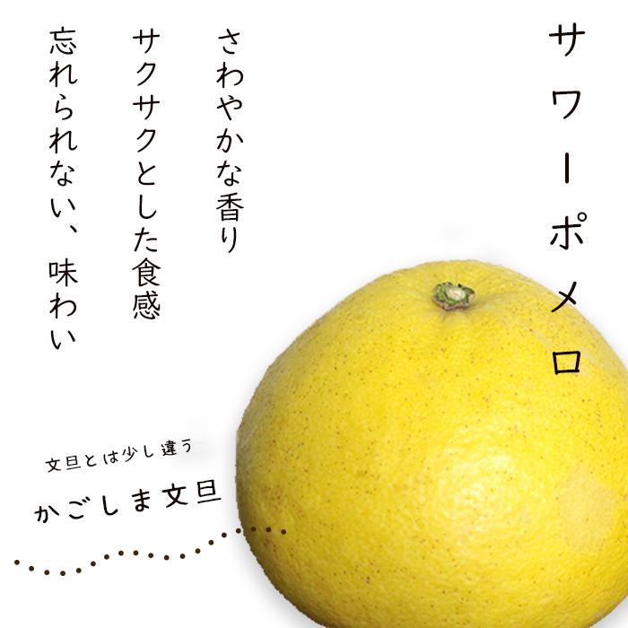 サワーポメロ 残りわずか】(ご家庭用)サワーポメロ8kg 訳あり 文旦 グレープフルーツ