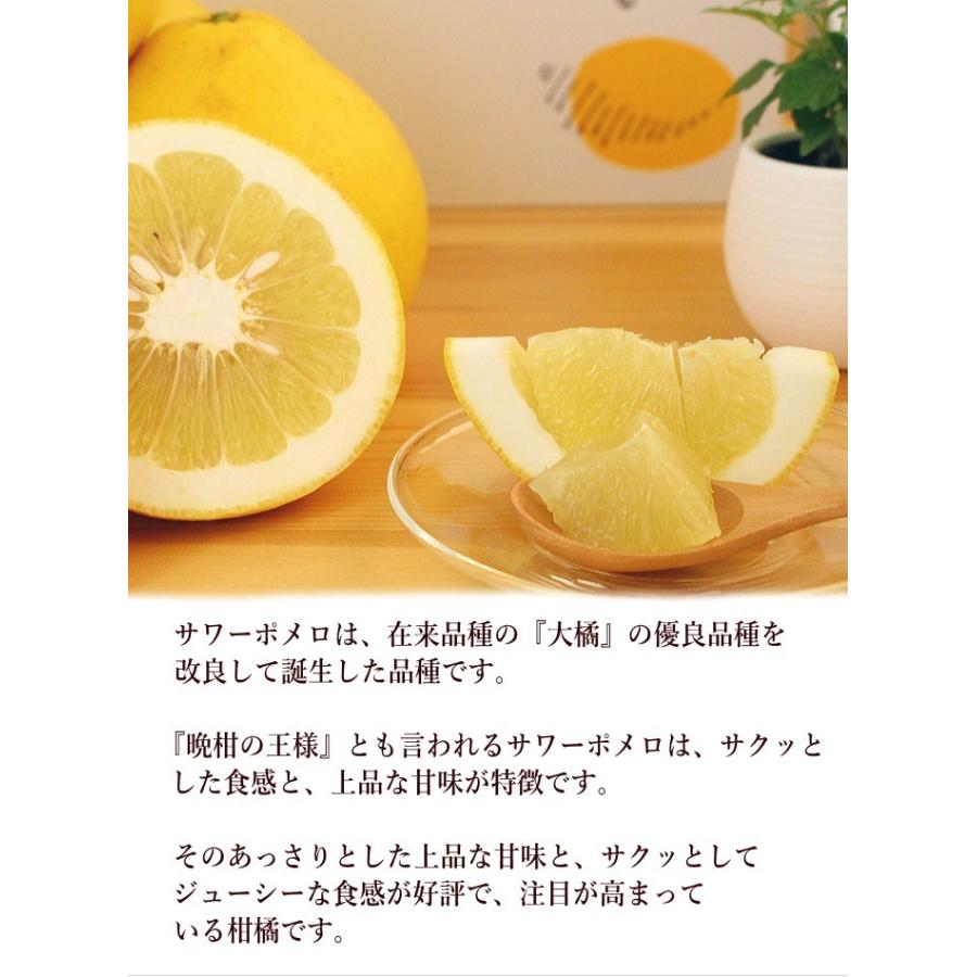 サワーポメロ 残りわずか】(ご家庭用)サワーポメロ8kg 訳あり 文旦 グレープフルーツ