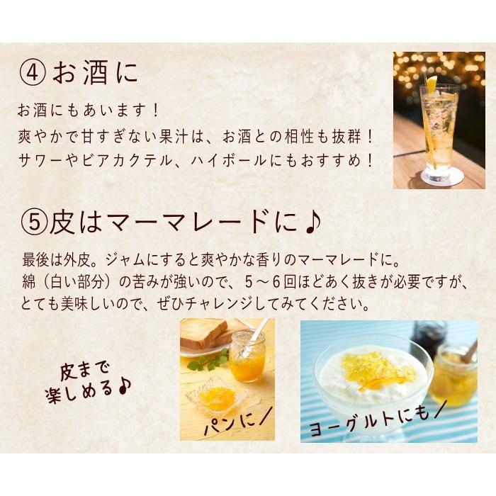 サワーポメロ 残りわずか】(ご家庭用)サワーポメロ8kg 訳あり 文旦 グレープフルーツ