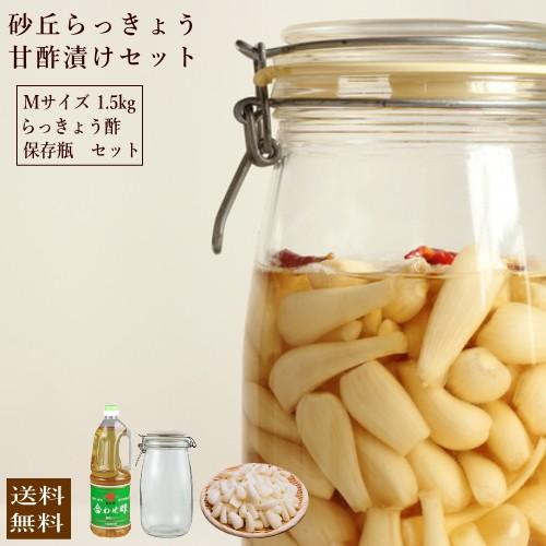 甘酢漬けキット 砂丘らっきょう1 5kgとらっきょう酢セット 鹿児島県産 ラッキョウ 砂付き 生らっきょう 甘酢漬けセット 5月中旬より発送開始 Rakkyo3set おひさまとくだもの 通販 Yahoo ショッピング