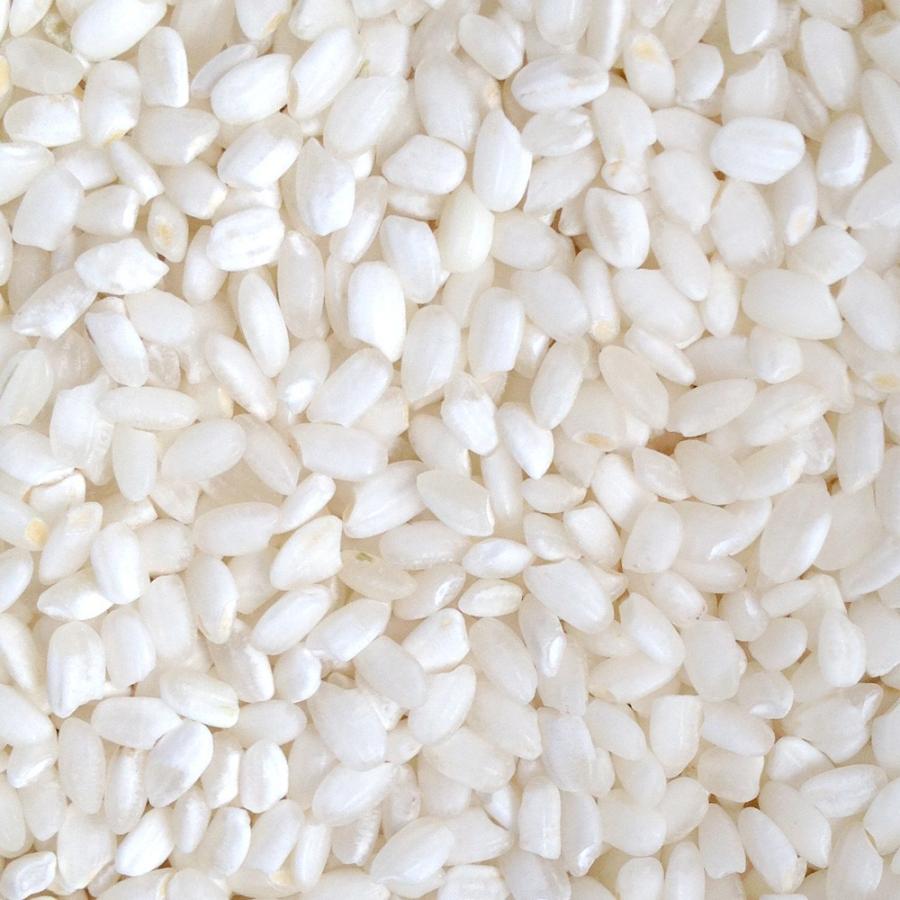 米 お米 10kg 訳あり米 激安ブレンド米 白米 送料別途 : おひさま