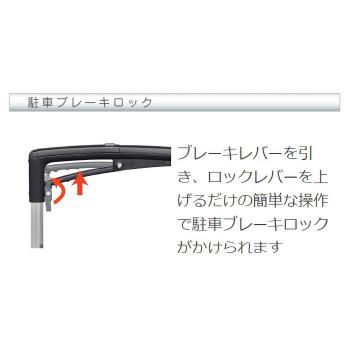 アイカート ボンベ No.855 酸素ボンベカー 3Lと2Lボンベが入る 同梱・代引不可｜ohisama89｜04