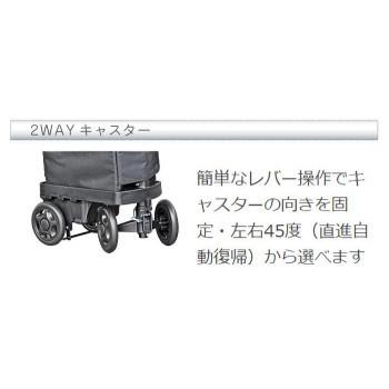 アイカート ボンベ No.855 酸素ボンベカー 3Lと2Lボンベが入る 同梱・代引不可｜ohisama89｜05